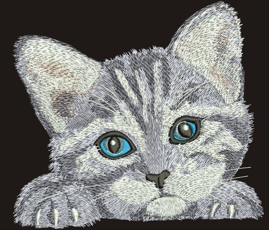 This kitten embroidery file looks great, but beware when it's actually get embroidered on a shirt. This kitten embroidery file looks great, but beware when it actually gets embroidered on a shirt.