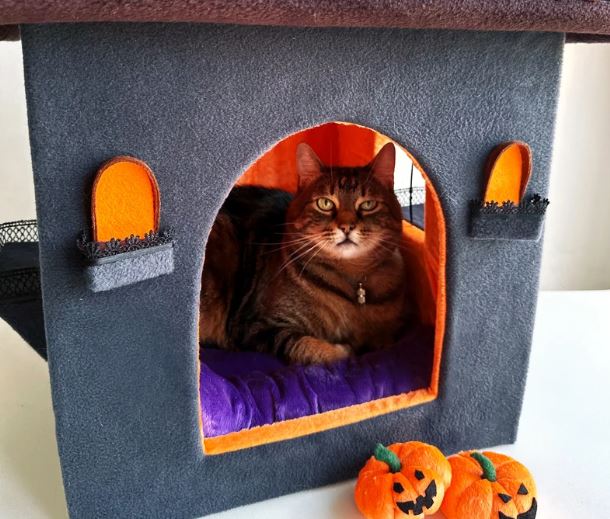Isn't this haunted cat house the cutest? Isn't this haunted cat house the cutest?